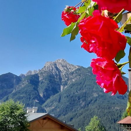 Dolomiti Ferienwohnung, Appartamento Vacanze. San Pietro di Cadore Exteriér fotografie