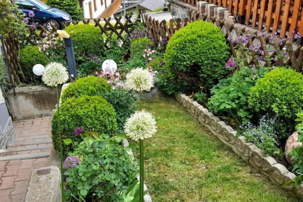 Dolomiti Ferienwohnung, Appartamento Vacanze. San Pietro di Cadore Exteriér fotografie