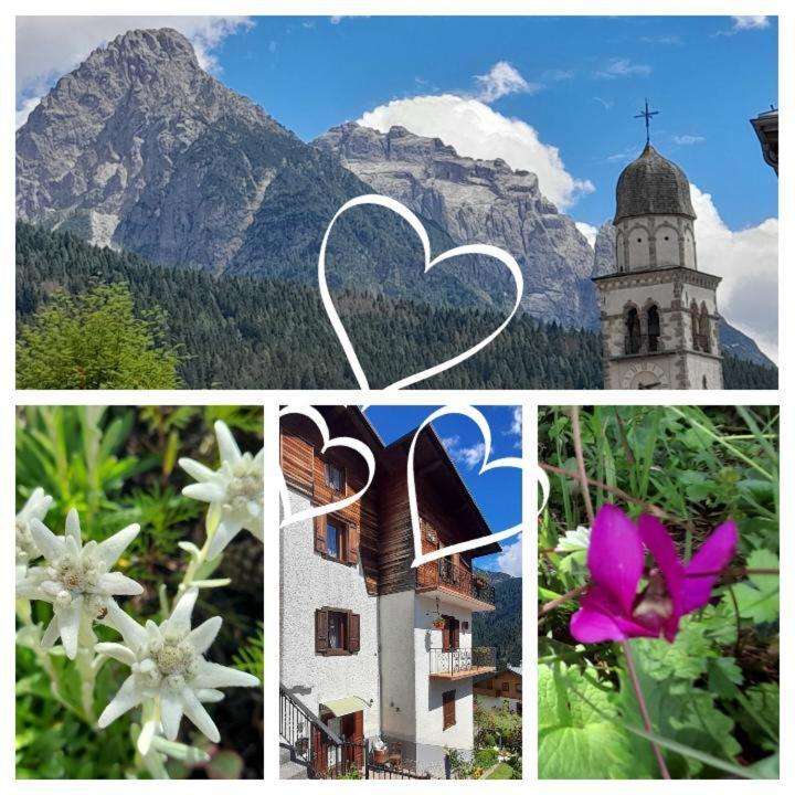 Dolomiti Ferienwohnung, Appartamento Vacanze. San Pietro di Cadore Exteriér fotografie