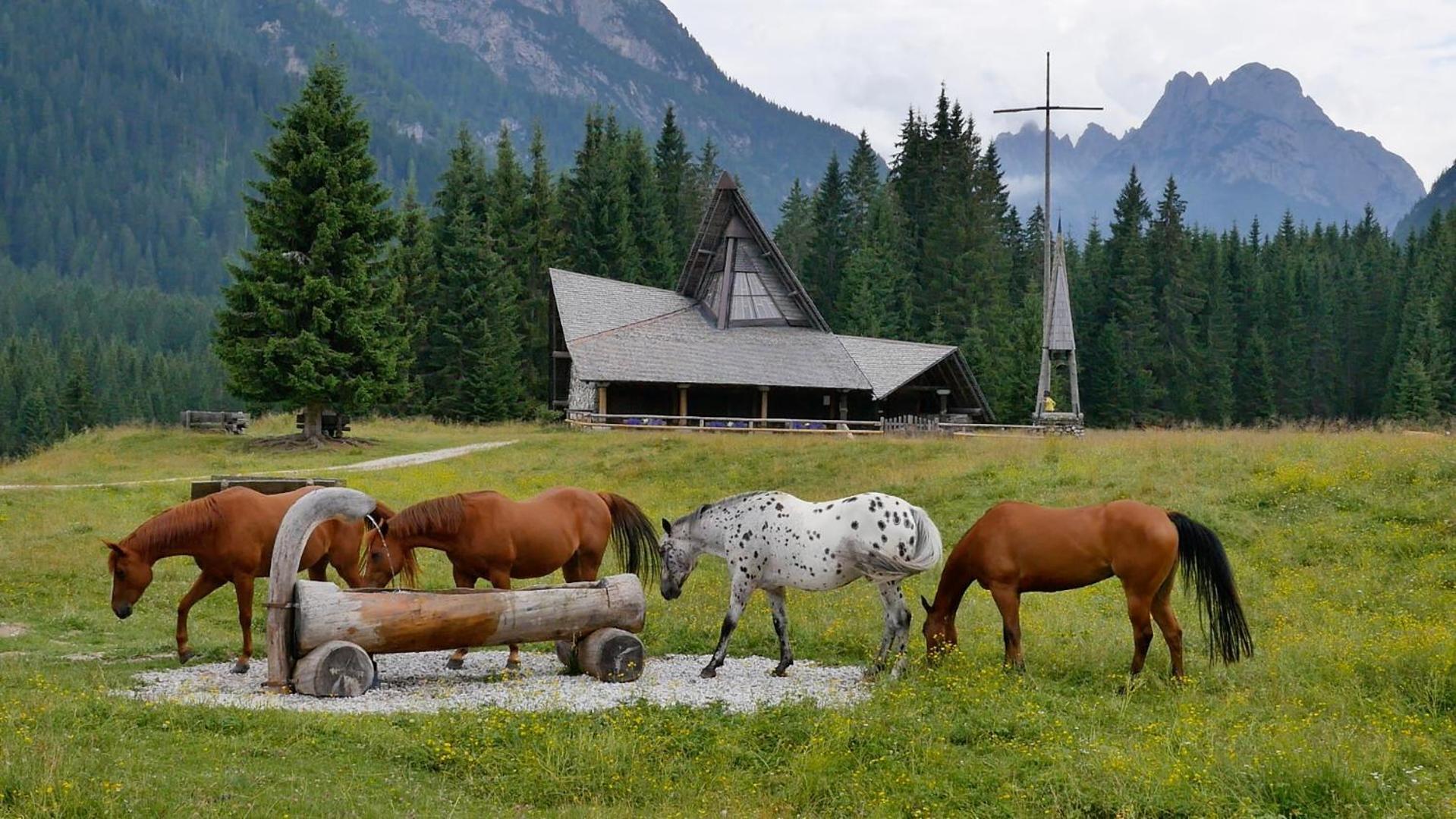 Dolomiti Ferienwohnung, Appartamento Vacanze. San Pietro di Cadore Exteriér fotografie