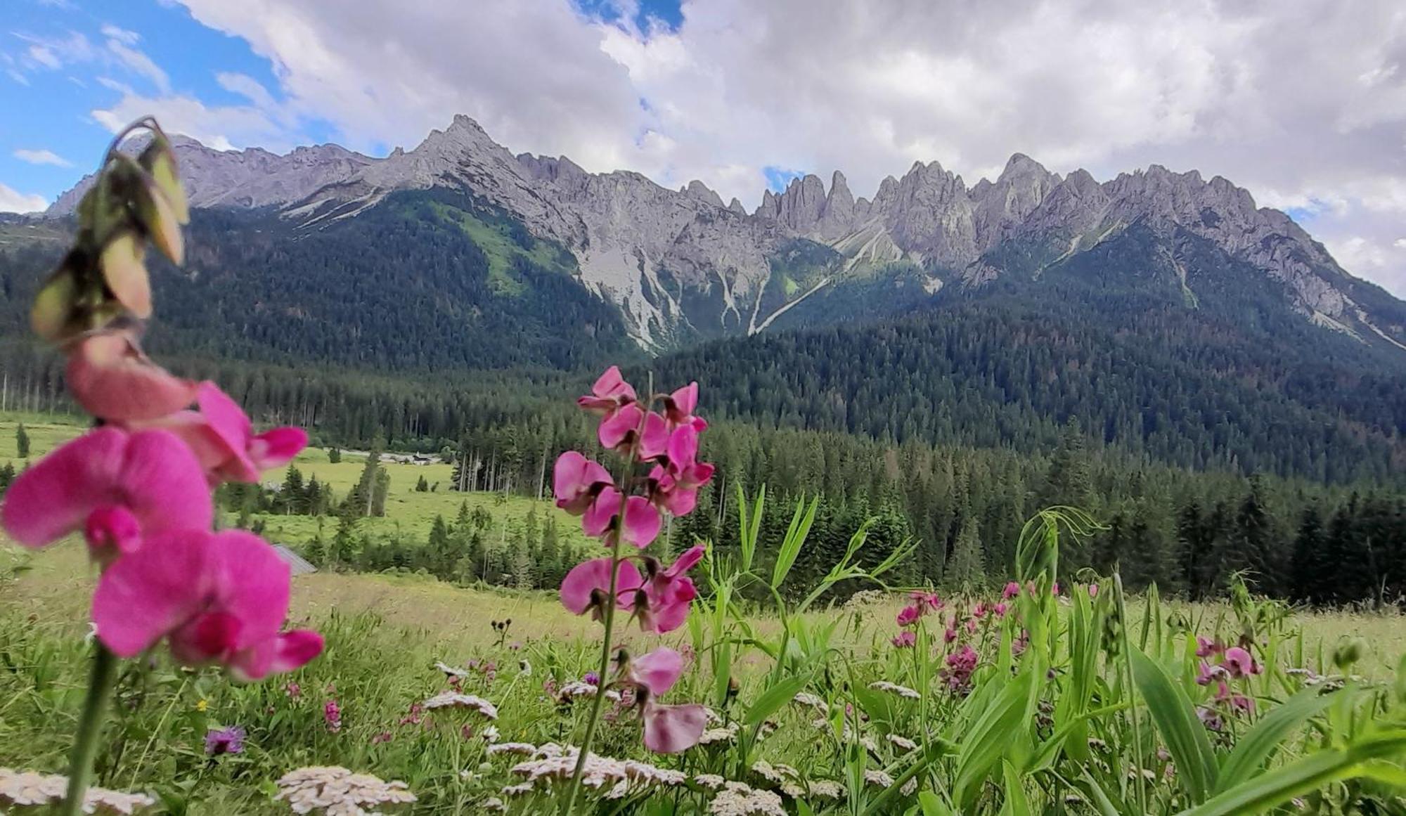 Dolomiti Ferienwohnung, Appartamento Vacanze. San Pietro di Cadore Exteriér fotografie