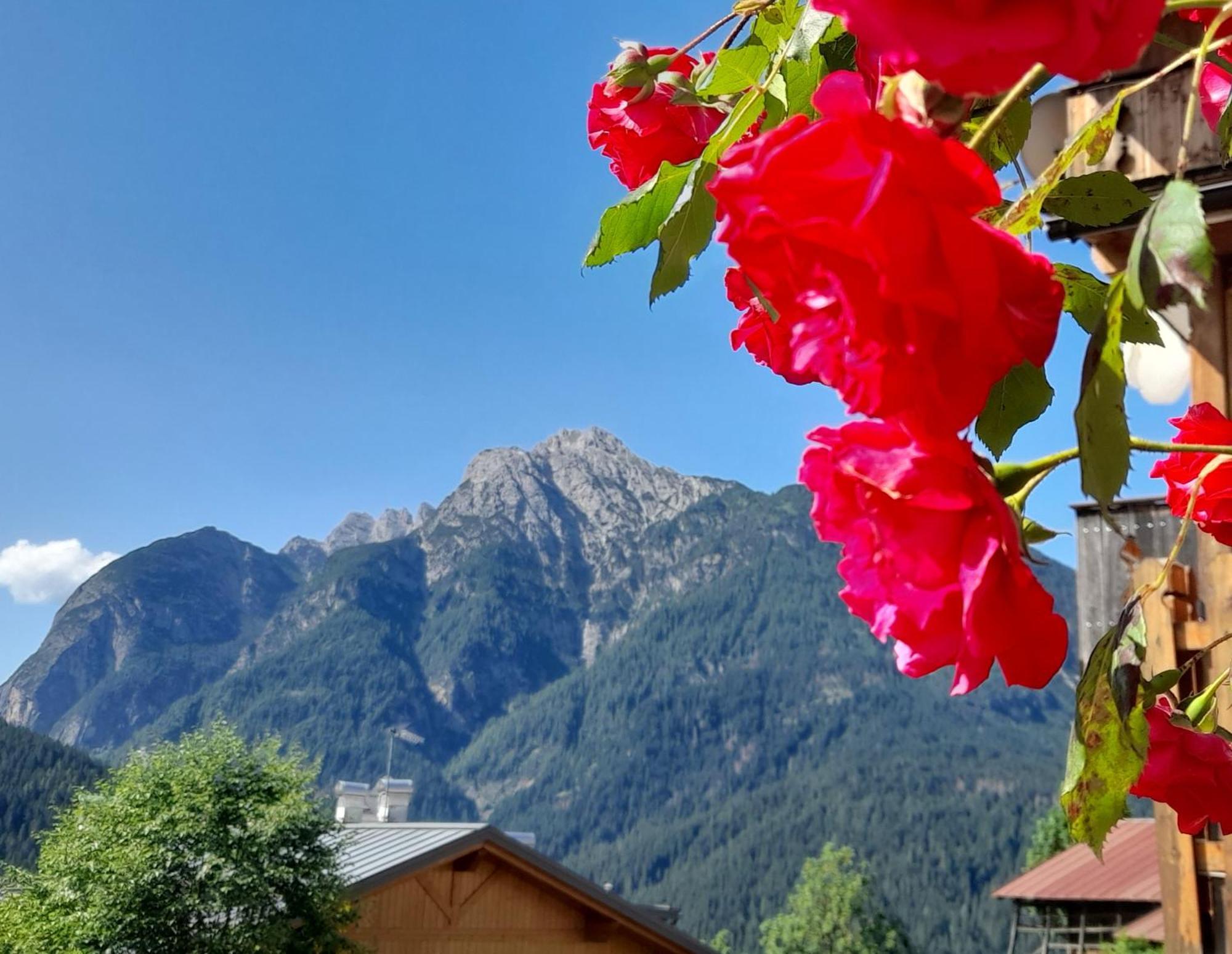 Dolomiti Ferienwohnung, Appartamento Vacanze. San Pietro di Cadore Exteriér fotografie